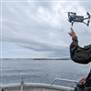 I studien ble det benyttet droner som kan kjøpes i butikk og sendes opp fra land eller båt, som i dette tilfellet. Foto © Sindre Molværsmyr