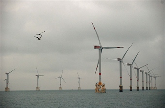 New tool for predicting effects of offshore wind farms on seabirds