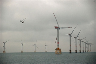 New tool for predicting effects of offshore wind farms on seabirds