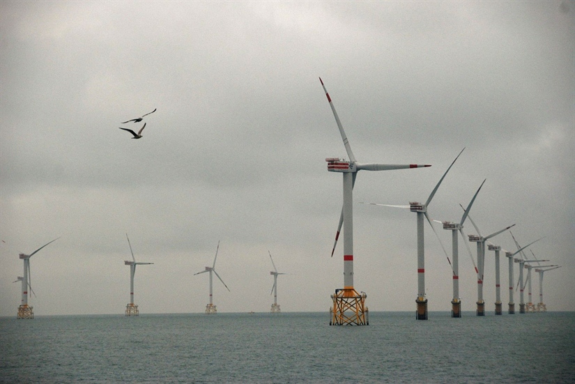 New tool for predicting effects of offshore wind farms on seabirds