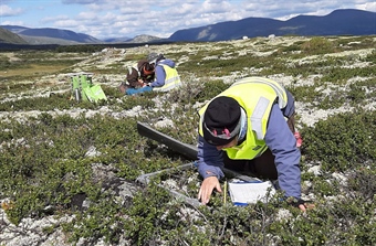 Å overvåke restaurert natur har stor verdi for framtidige prosjekter