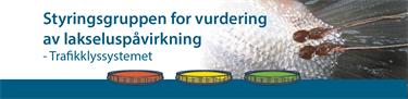 Fagseminar: Ny kunnskap om lakselusas påvirkning på vill laksefisk til bruk i dagens Trafikklyssystem