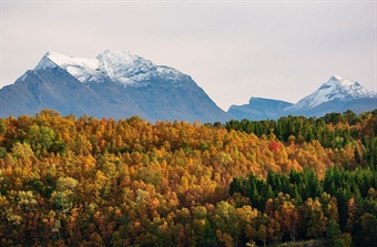 Styrker Europas kunnskap om natur og bærekraft