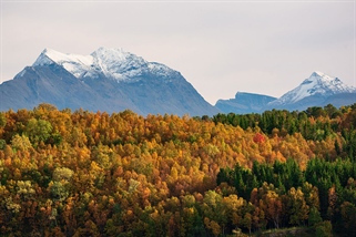 Styrker Europas kunnskap om natur og bærekraft