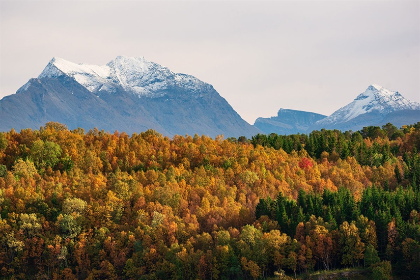 Styrker Europas kunnskap om natur og bærekraft