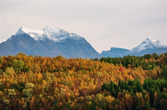 Styrker Europas kunnskap om natur og bærekraft