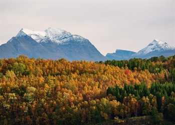 Strengthening Europe’s knowledge on nature and sustainability