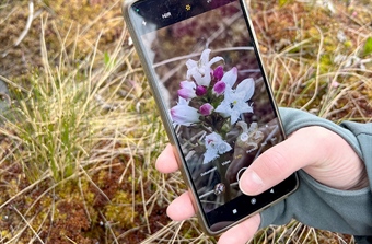 Er du en folkeforsker? Da vil forskerne høre fra deg