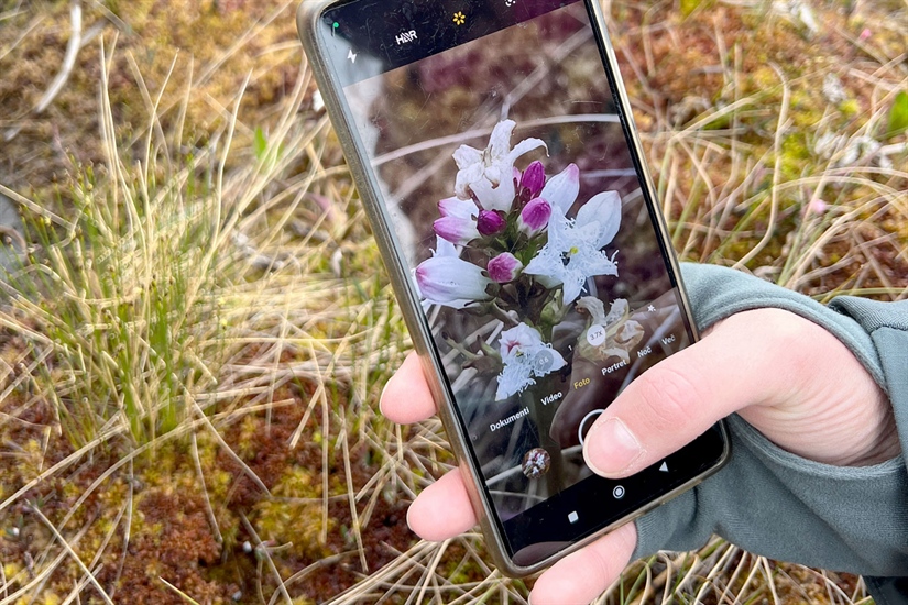 Er du en folkeforsker? Da vil forskerne høre fra deg