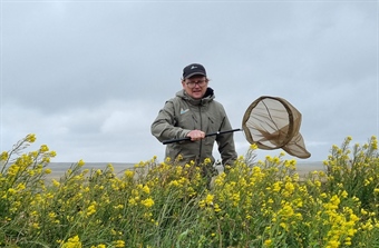 Første humle funnet på Falklandsøyene