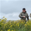 Anders Endrestøl på jakt etter fremmedarter på søpledynga på Falklandsøyene, med fremmedarten bondekål Brassica rapa i forgrunn. Foto: Kristine B. Westergaard, NTNU