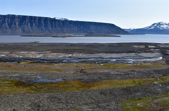 Restoration of Arctic wilderness in Svalbard receives top rating