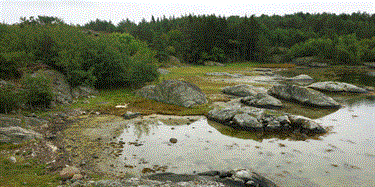 Sørlige strandenger: små, men viktige leveområder