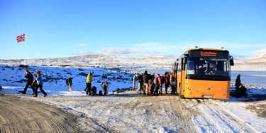 Buss er best for villreinen på Dovrefjell