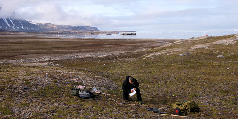 Varmere vintrer på Svalbard er ikke bra for plantene