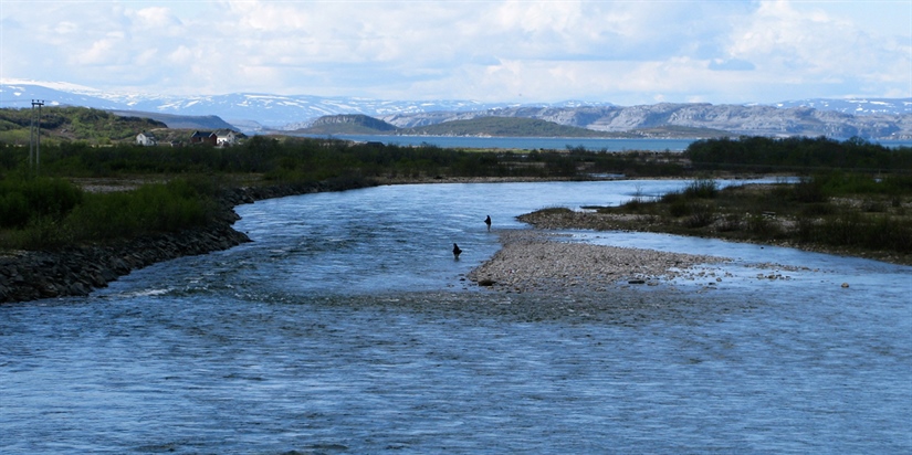 Har evaluert nasjonale laksevassdrag og nasjonale laksefjorder