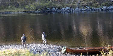 Mindre rømt oppdrettslaks i elvene