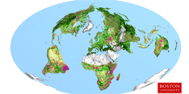 China and India dominate in greening the Earth 