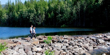 Elver har stor betydning for mange – ikke bare fisk og fiske