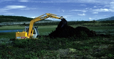 Naturrestaurering på agendaen