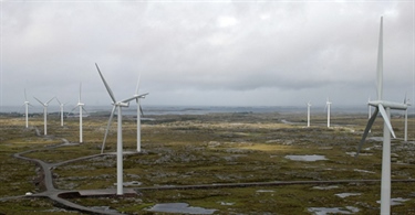 Verdenskonferense om vindkraft og vilt i gang