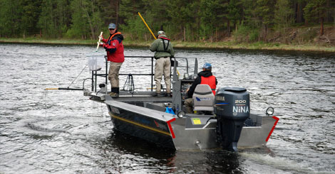 Elektrisk kontroll på fisk