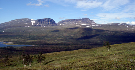 Vil skogen innta Arktis?