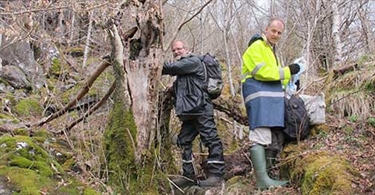 Oppsiktsvekkende soppfunn i edelløvskogen 