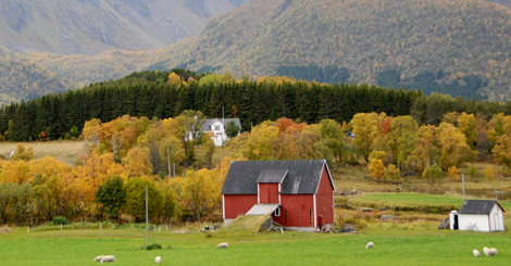 Klimatiltak i skog - effekter på biologisk mangfold