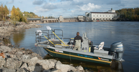 Utsetting av ørret bidrar ikke til bedre fiske 