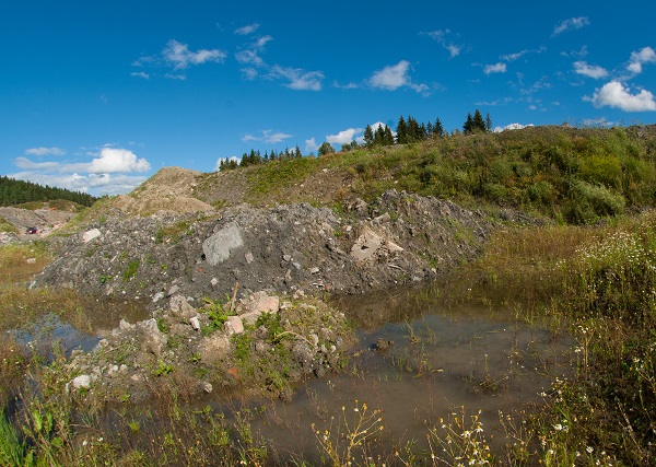 Foto: Børre K Dervo