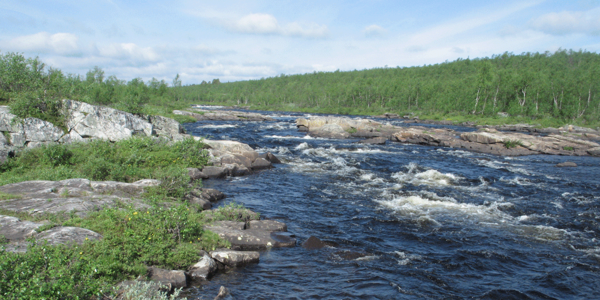 Karasjohka er en av de viktigste sideelvene i Tanavassdraget. Foto © Sturla Brørs.