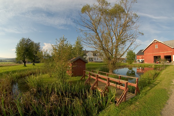 Salamanderdam i Lier, Buskerud. Foto: Børre Dervo