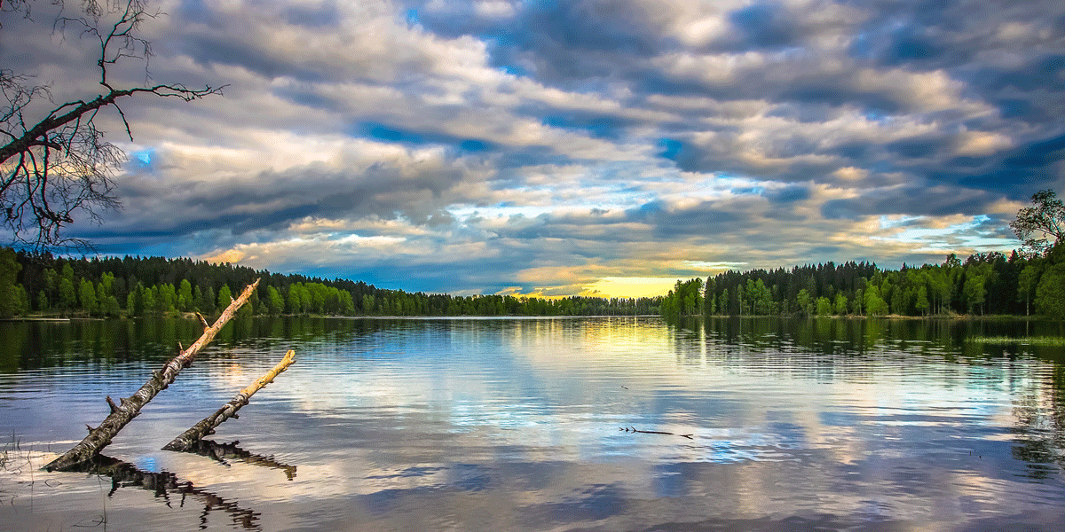 Voksne Osloborgere bruker om lag 73 millioner timer i året i den bynære skogen. Bilde er fra Sognsvann. Foto: Robert Cross/Flickr - CC-BY-NC-ND 2.0