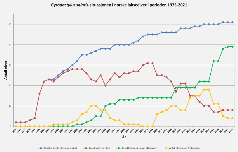 Situasjonen i norske lakseelver 1975-2021