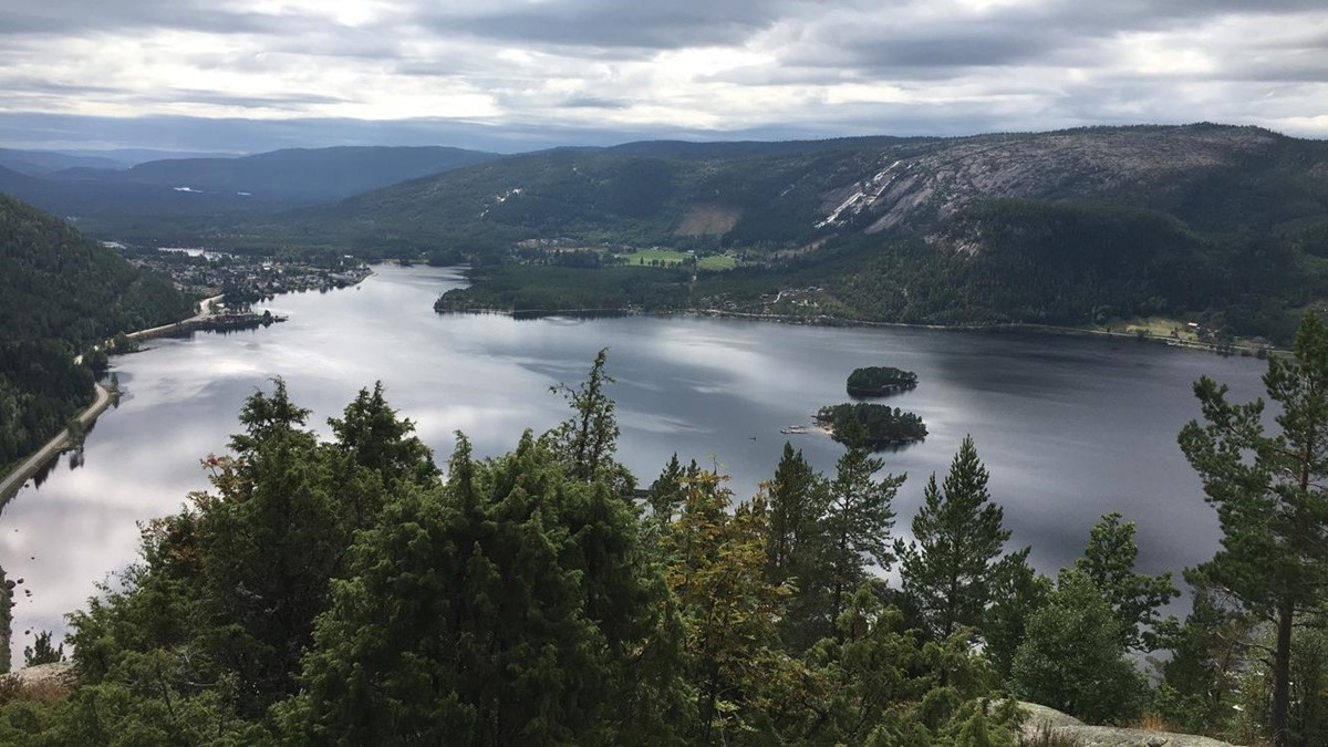 Byglandsfjorden. Foto.