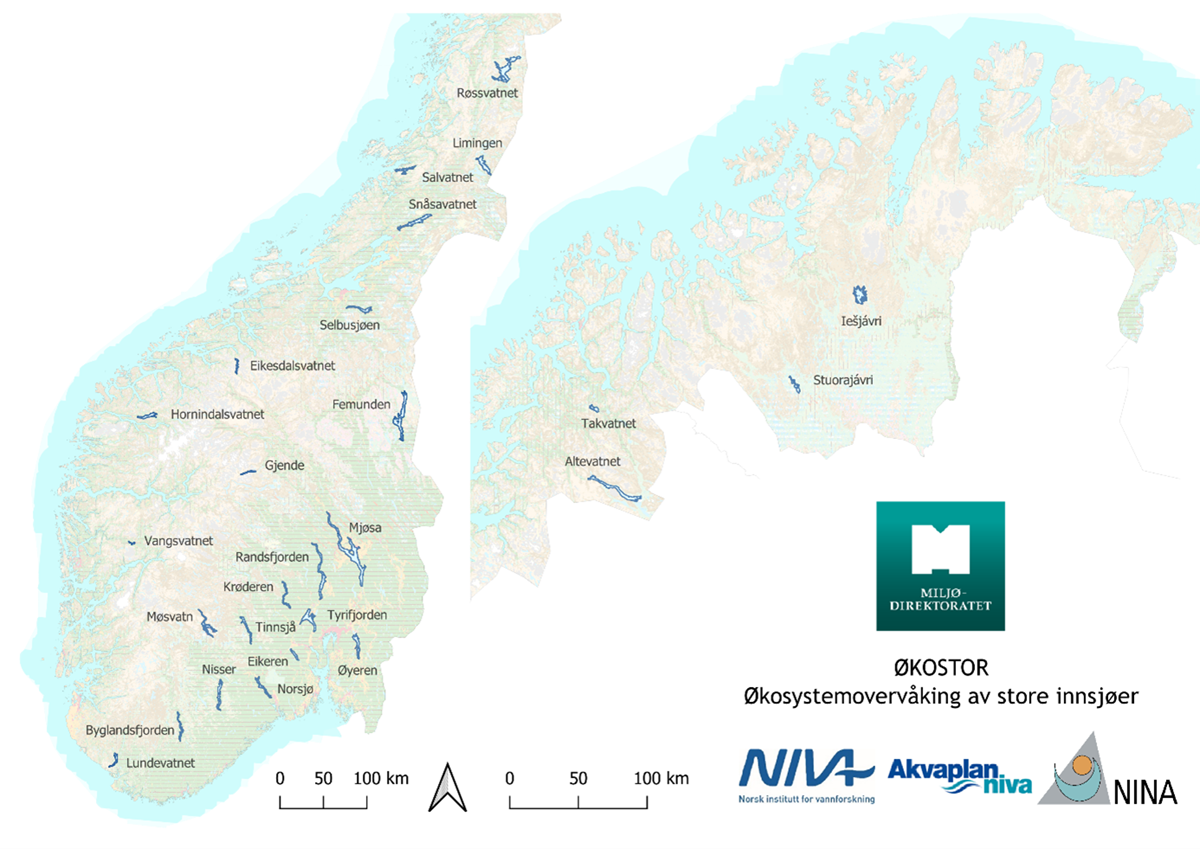 Kart som viser innsjøene som inngår i ØKOSTOR-programmet. Kartlag er hentet fra geo-norge.no 