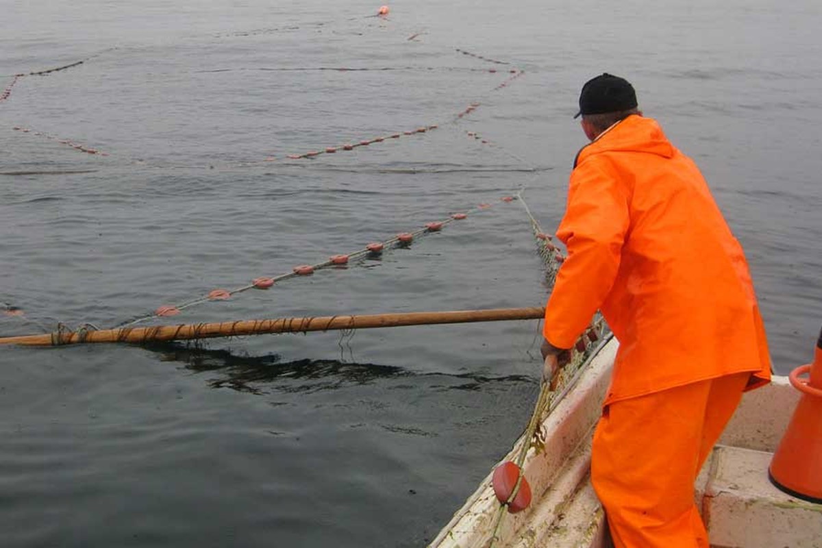 Kilenotfiske. Foto: Ivan Kvalø.