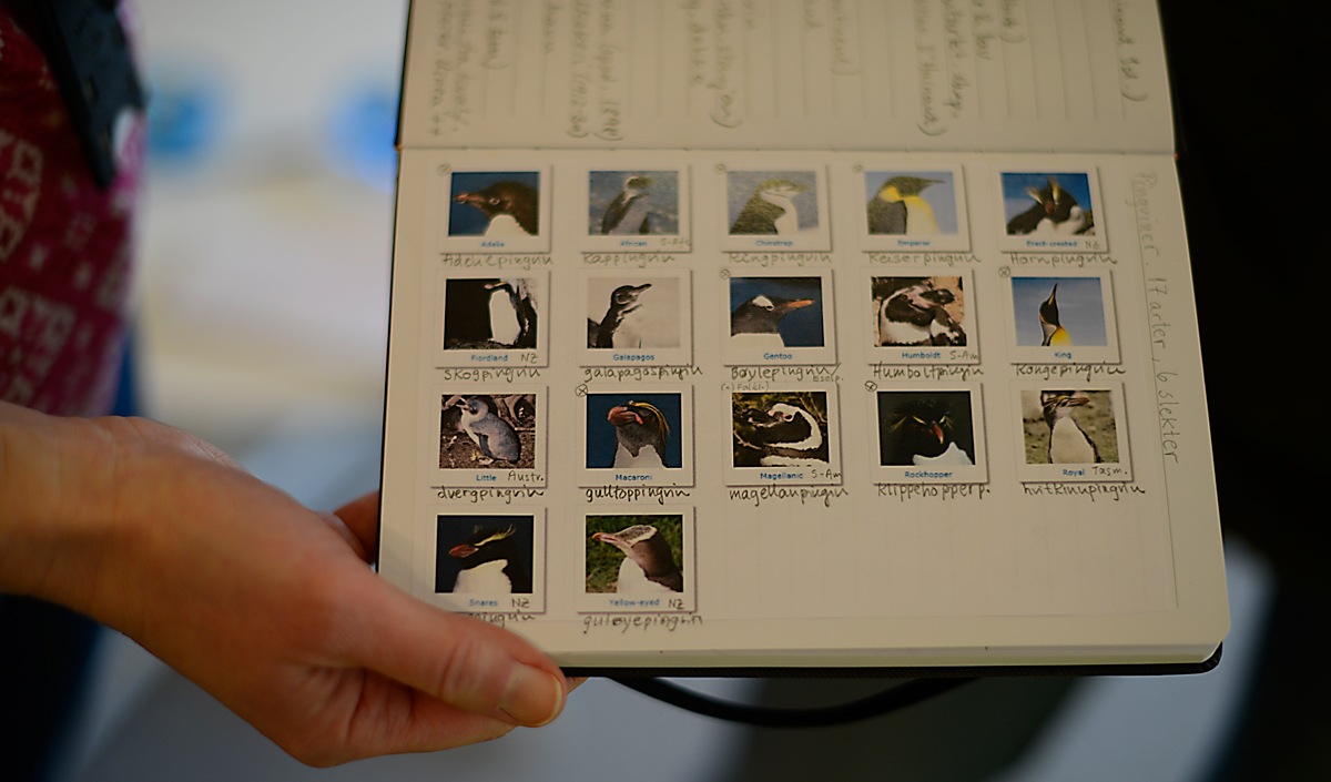 Bok med bilde av alle pingvinartene. Foto.