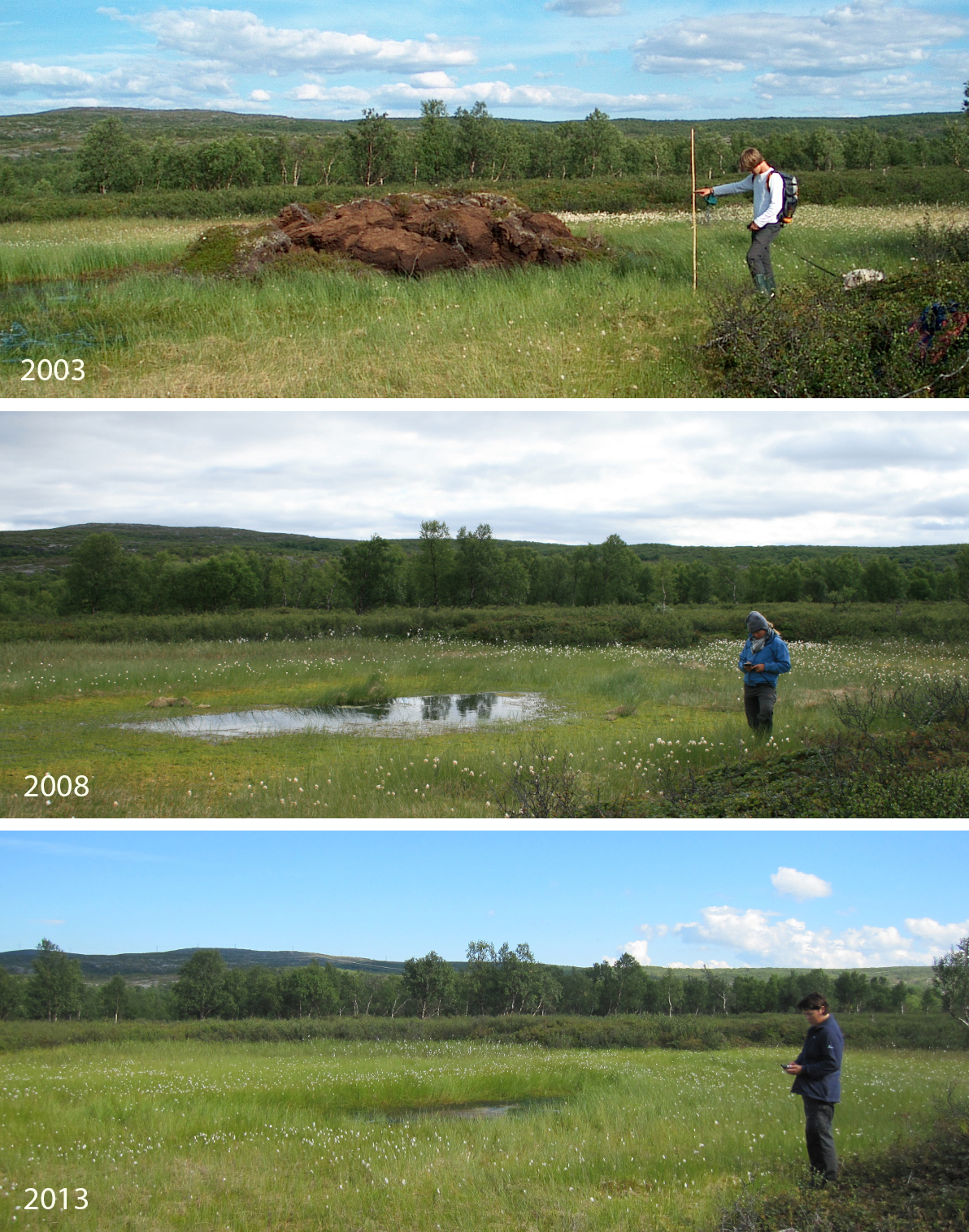 Pals i Ferdesmyras nordre del i 2003, 2018 og 2013. Foto.