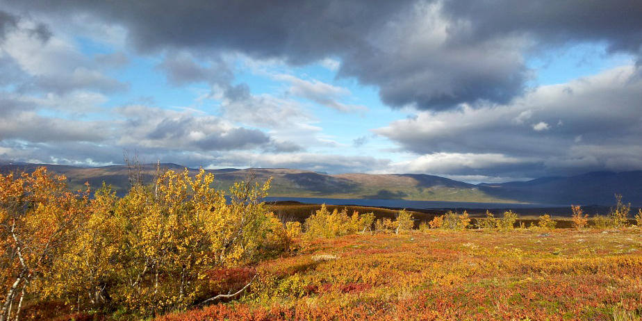 Kunnskap om klimaendringenes effekt på natur og ressursgrunnlag er sentral i arbeidet med fremtidsretta og helhetlige miljøløsninger. Foto © Annika Hofgaard/NINA