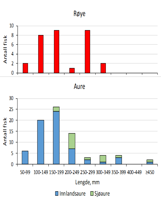 Grafer som viser lengdefordeling hos røye og aure. Figur.